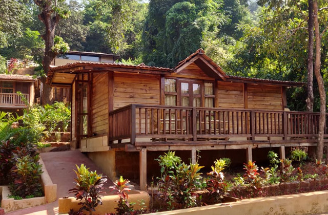 ayurveda-kuur-india
